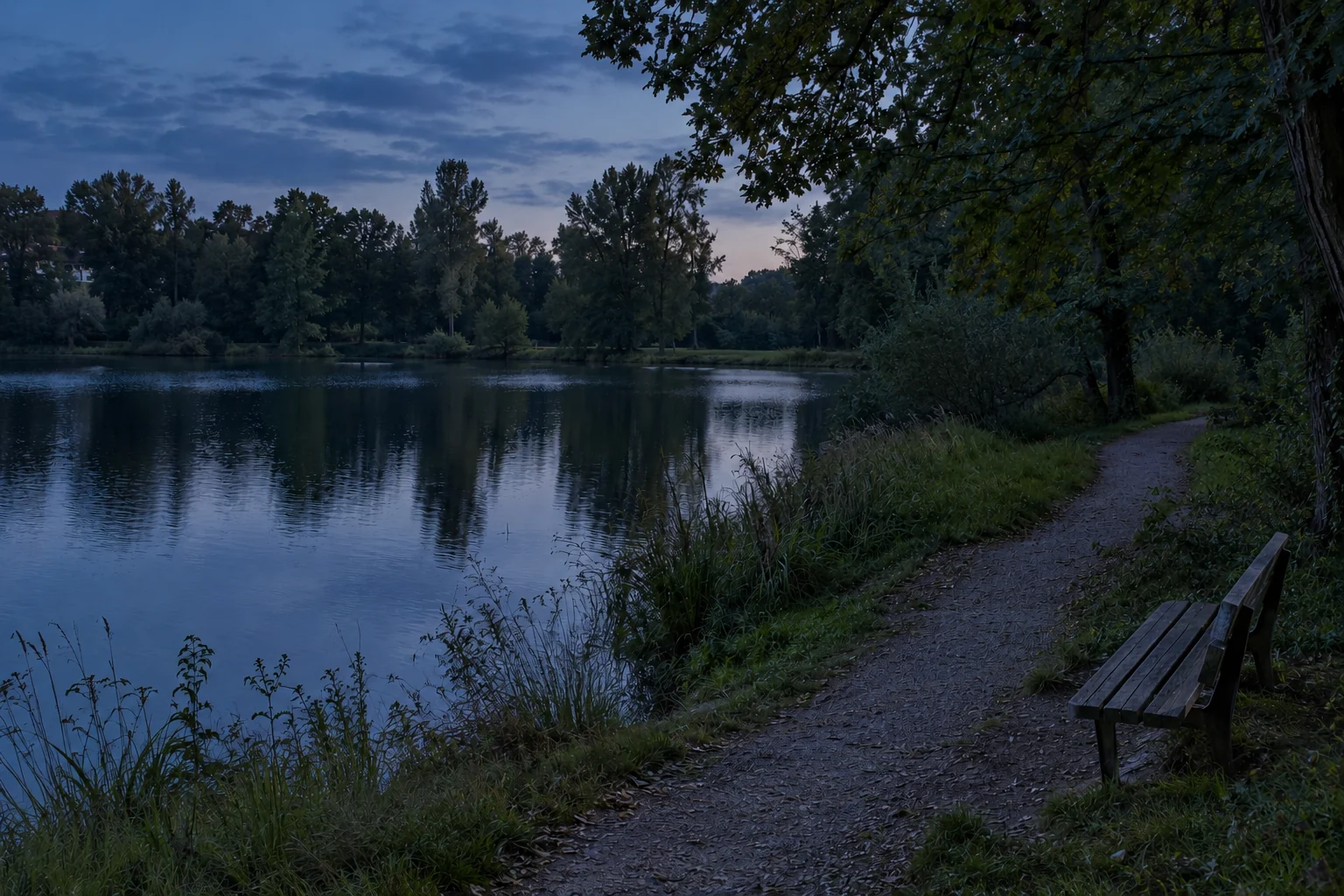 Eine Holzbank steht neben einem Weg am bewaldeten Seeufer.